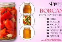 Secretele cămării perfecte Cum să alegi cele mai bune borcane și capace la Publiserv Oradea