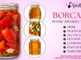 Secretele cămării perfecte Cum să alegi cele mai bune borcane și capace la Publiserv Oradea