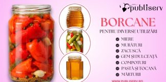 Secretele cămării perfecte Cum să alegi cele mai bune borcane și capace la Publiserv Oradea