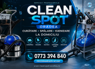 Spălătorie tapițerii Oradea – tehnologie profesională pentru curățare eficientă Spălătorie tapițerii Oradea – tehnologie profesională pentru curățare eficientă