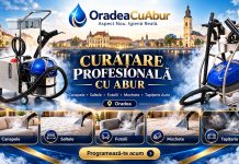 Curățarea colțarelor în Oradea: ce verifici înainte de o programare la domiciliu Curățarea colțarelor în Oradea: ce verifici înainte de o programare la domiciliu
